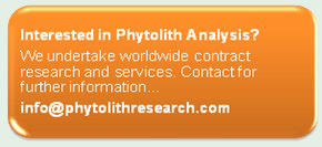 Typical Panicoid Phytolith SEM